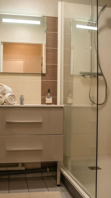 Logement Centre Ville De Reims - Commerces - Wifi Dış mekan fotoğraf
