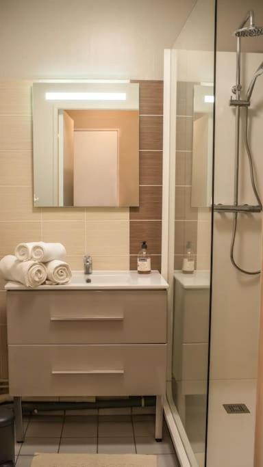 Logement Centre Ville De Reims - Commerces - Wifi Dış mekan fotoğraf